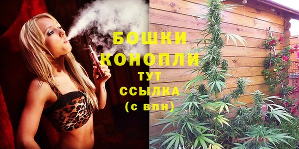 первитин Вяземский