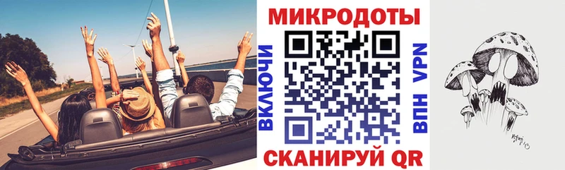 Галлюциногенные грибы Psilocybe  Зеленоградск 